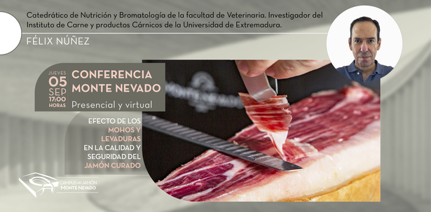 canaldis-montenevado-campusdeljamon-evento-felixnuñez