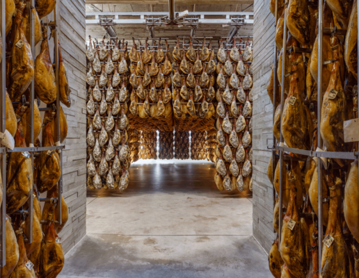 canaldis-montenevado-campusdeljamon-cripta