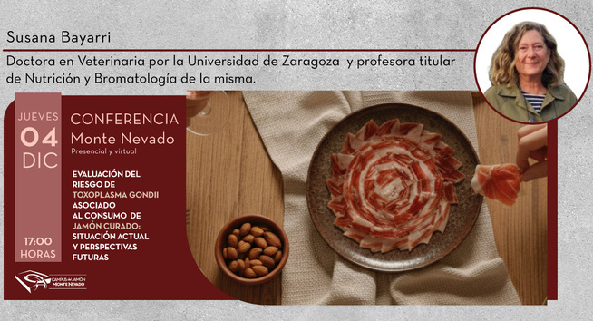 canaldis-montenevado-conferencia-susanabayarri