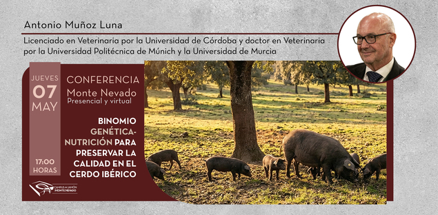 canaldis-montenevado-conferencia