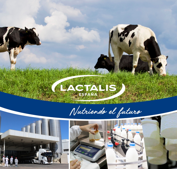 canaldis-lactalisespaña-bodegón