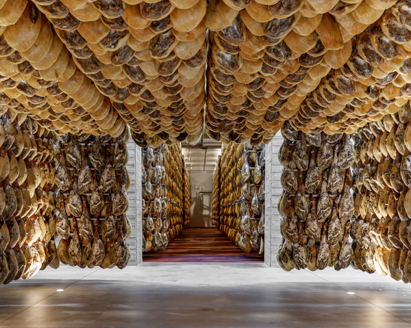 canaldis-montenevado-jamon-bodega