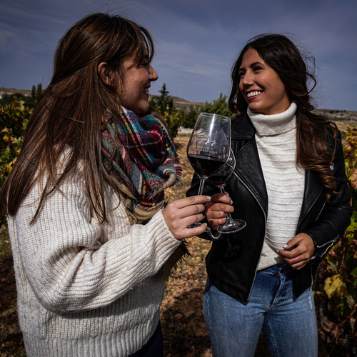 Los socios de la Ruta del Vino Ribera del Duero apuestan por experiencias inmersivas durante la vendimia