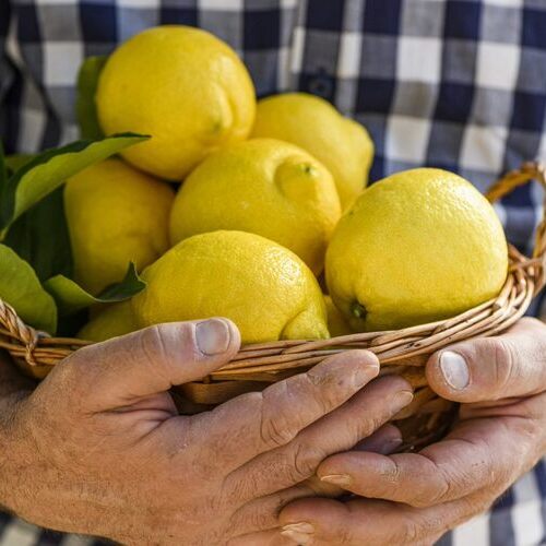 Recetas con limón para celebrar el Día Mundial de este cítrico: sabor y salud al alcance de todos