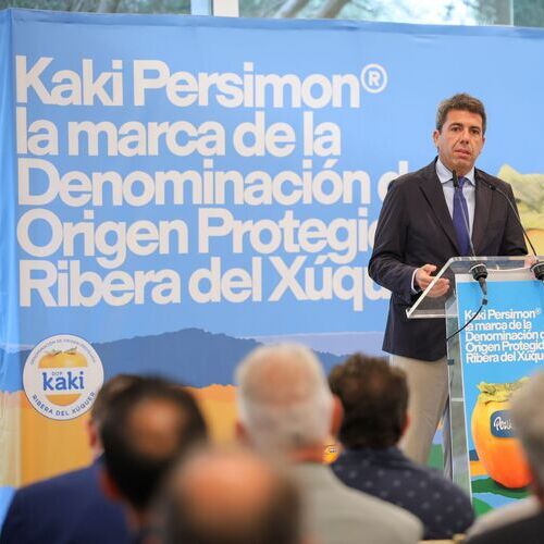La DOP KAKI RIBERA DEL XÚQUER arranca la campaña renovando la imagen de su marca Persimon® para aumentar las ventas