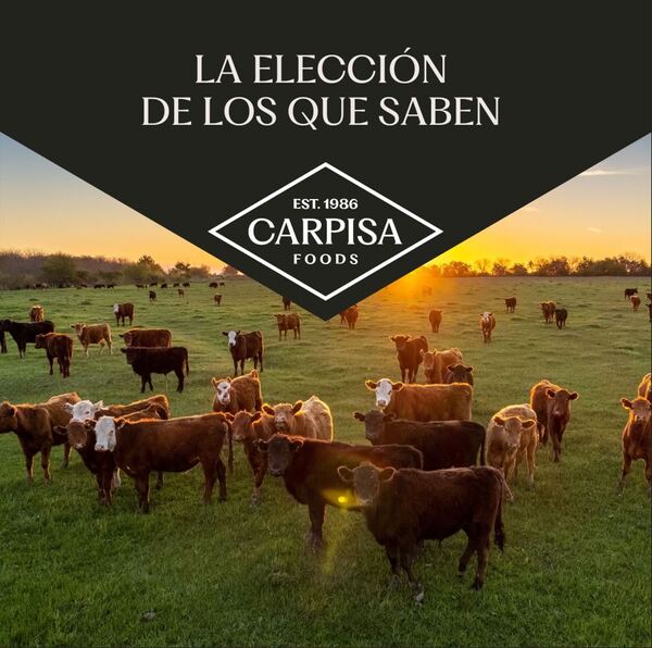 canaldis-carpisafoods-imagencorporativa-renovacion