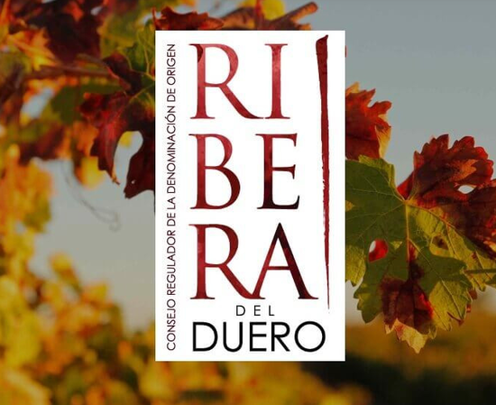 La D.O. Ribera del Duero concluye una vendimia desafiante con 95 millones de kilos de uva de alta calidad