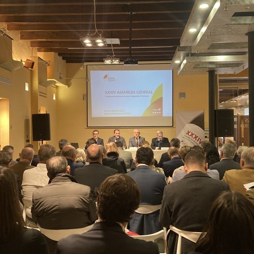 Las Denominaciones de Origen reafirman en Asamblea General sus propuestas para que el sector vuelva a crecer