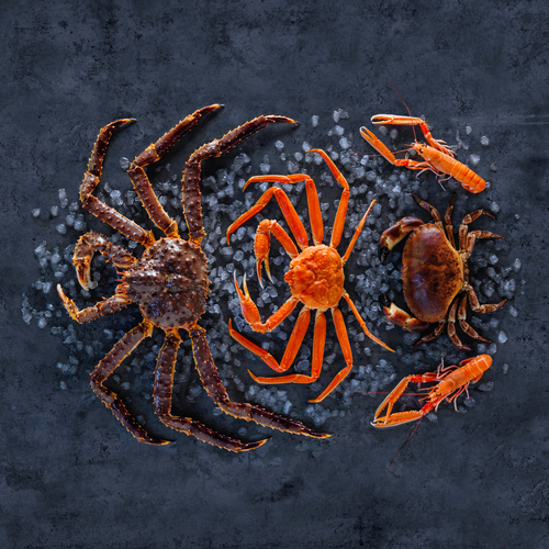 Del Salmón ahumado al gigante “King Crab”: Los pescados y mariscos de Noruega más exquisitos y exclusivos se abren paso en hogares y restaurantes por Navidad y Año Nuevo