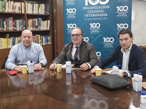 INTERPORC: “El tándem productor-veterinario ha llevado al sector porcino a la vanguardia mundial en bienestar y sanidad animal”