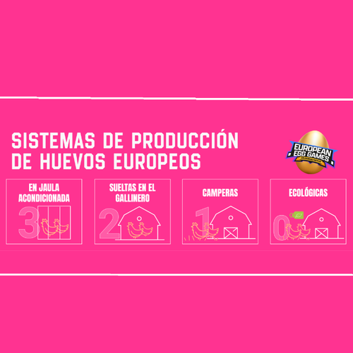 Producción, calidad y bienestar animal, las principales dudas sobre el huevo de los ciudadanos europeos