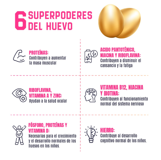 ¿Qué sabes del huevo? Un gran alimento y también un gran desconocido