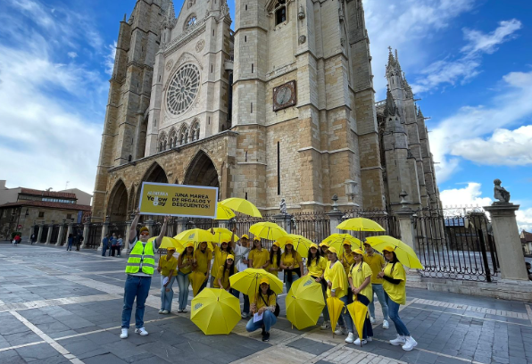 canaldis-alimerka-yellow-day