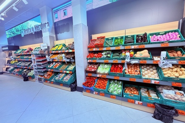 canaldis-dia-apertura-albacete