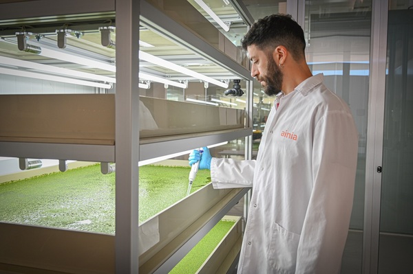 AINIA impulsa el desarrollo de nuevas fuentes de proteínas vegetales con el proyecto Supralem