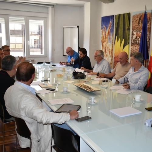 Desvelado el lugar y fecha del próximo Encuentro Nacional de la Almendra y la Avellana