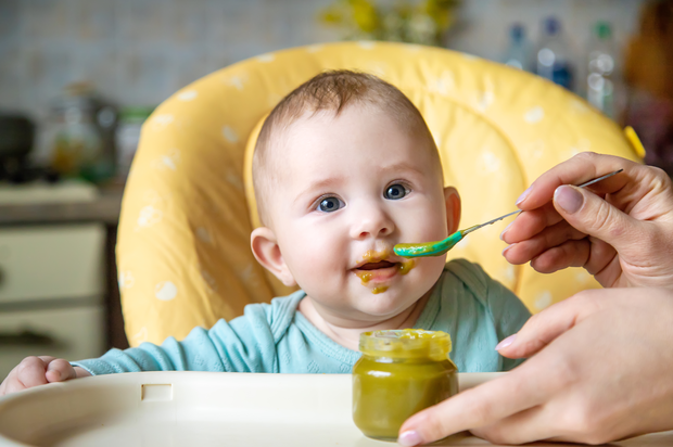 Las verduras congeladas en la alimentación complementaria de los bebés: calidad, nutrición y sabor al alcance de las familias