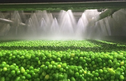 La ultracongelación de verduras permite aprovechar hasta un 95% de la materia prima