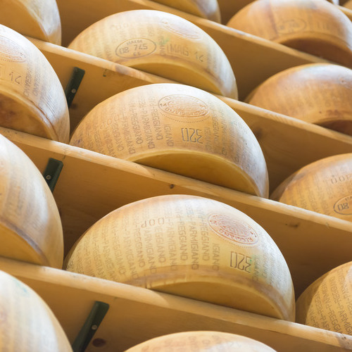 Dalterfood Group cierra 2024 con crecimiento en facturación y volúmenes