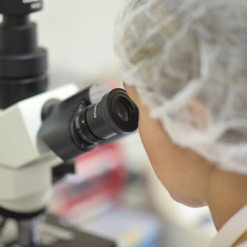 Fertiberia logra la patente europea de NSAFE, el primer bio-inhibidor de la nitrificación del mercado, consolidando su apuesta por la biotecnología agrícola