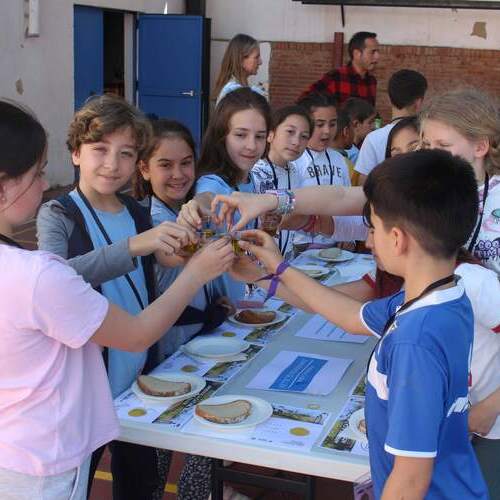 Más de 700 escolares andaluces conocen la importancia del sector oleícola con los talleres Andalucía: un mar de olivos 