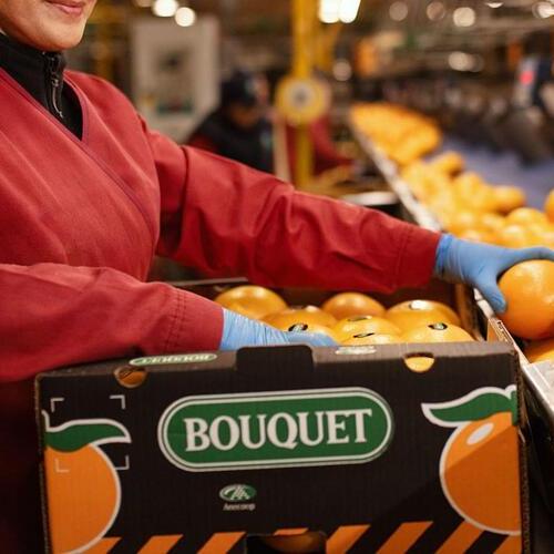 La cooperativa murciana Frucimu entra en el accionariado de Agriconsa