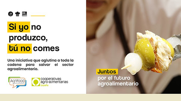 canaldis-synptnc-sine-cooperativas-jornada