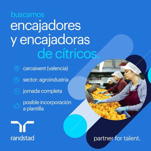 Randstad ofrece más de 1.000 puestos para la campaña de cítricos en la Comunitat Valenciana