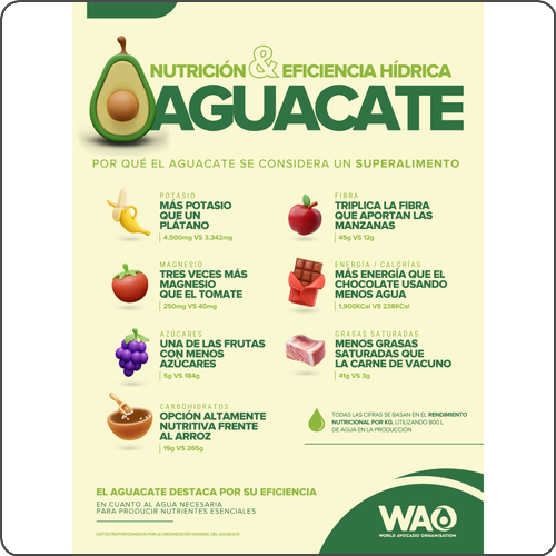 Repensar la sostenibilidad: El aguacate lidera el ranking de eficiencia entre nutrientes y uso de agua