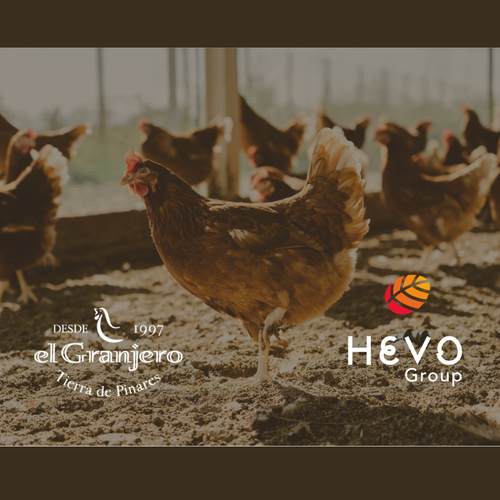 Hevo Group adquiere El Granjero y refuerza su liderazgo en el sector avícola español