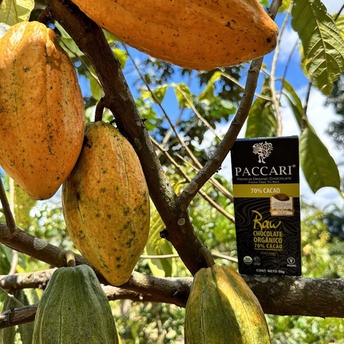 Ecuador se consolida como el destino ideal para los amantes del cacao