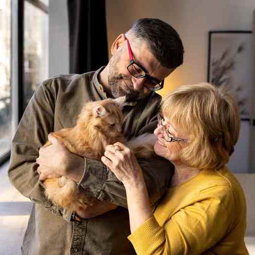 Las adopciones de animales en protectoras aumentaron en 2024 un 11% respecto al año anterior