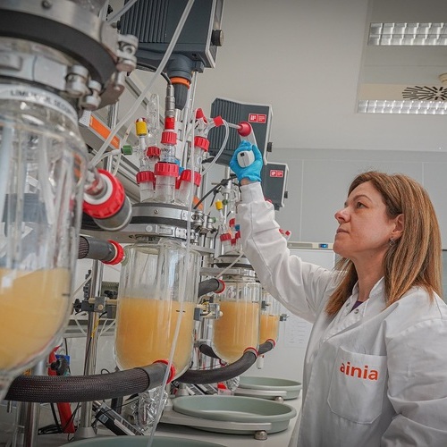 Ainia desarrolla modelos in vitro para crear soluciones eficaces frente a la disbiosis intestinal