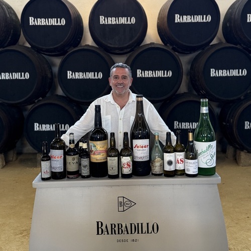 Álvaro Alés, nuevo Director de Marketing y Comunicación Global de Bodegas Barbadillo