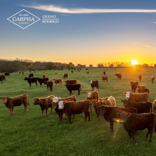 Carpisa Foods vuelve a Salamaq para presentar sus innovaciones en Ciudad Rodrigo, clave para el crecimiento de la compañía