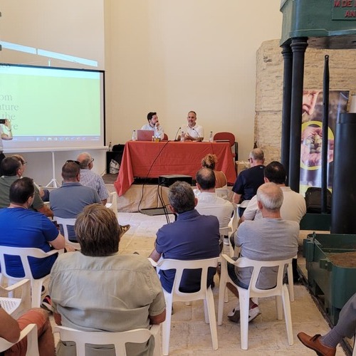 Soil O-Live premia a cuatro aceites andaluces en su Concurso Internacional y supera los 900 agricultores formados en todo el mundo