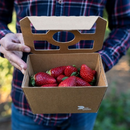 DS Smith, una empresa de International Paper, presenta una nueva gama de soluciones de packaging sostenibles a base de fibra en Fruit Attraction 2025