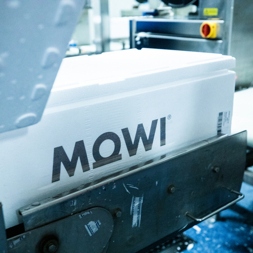 Mowi impulsa su crecimiento en el mercado ibérico desde su planta de Aragón