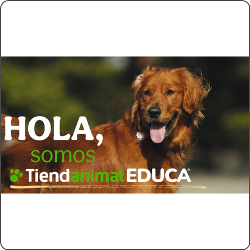 ¡Vuelta al cole con propósito! Arranca la 3ª Edición de Tiendanimal Educa 2.0 los talleres que transmiten amor y respeto por los animales a los más pequeños