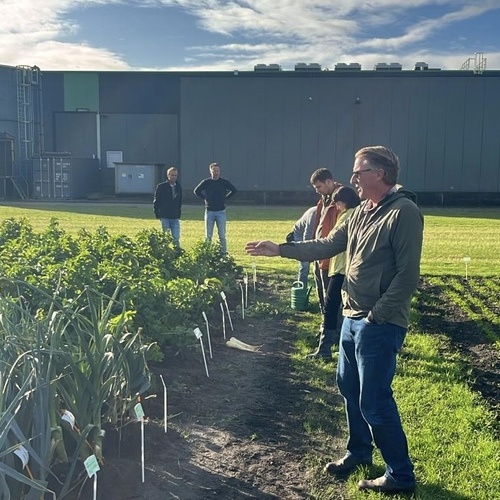 Tozer presenta más de 100 variedades de semillas hortícolas en los Dutch Field Trials