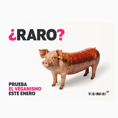 Año nuevo, nuevo Veganuary