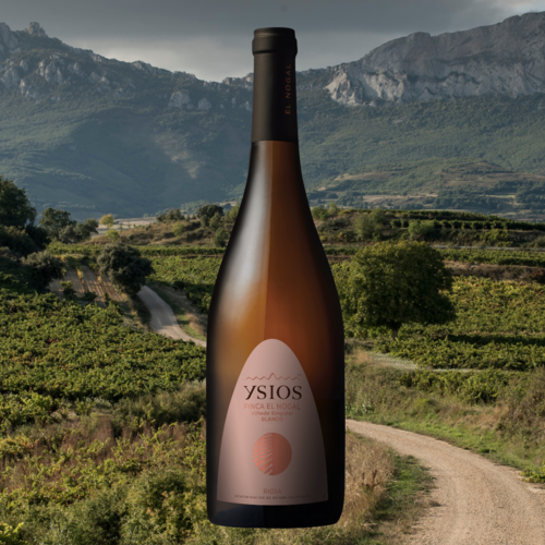 Ysios presenta Finca El Nogal Blanco VS 2023: la nueva joya blanca de Rioja Alavesa