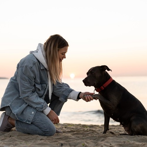 El vínculo emocional con perros y gatos favorece la mejora del bienestar psicológico