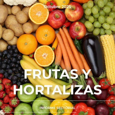 España afianza su liderazgo en el sector hortofrutícola: 34 MT y superávit de 3.895 millones