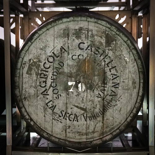 ‘Seléctions Mondiales des Vins Canadá’: ‘61’ Dorado en Rama de Cuatro Rayas mejor vino de Rueda con un ‘Gran Oro’ 