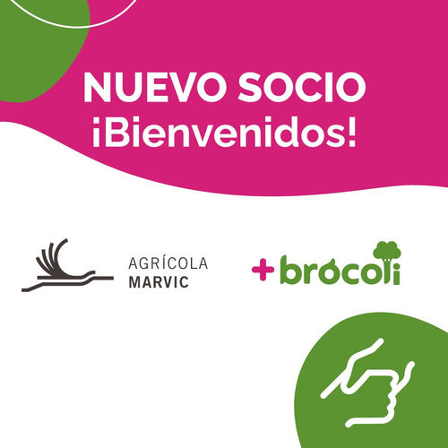 Agrícola Marvic se suma a la asociación +Brócoli para impulsar el consumo de productos saludables y sostenibles