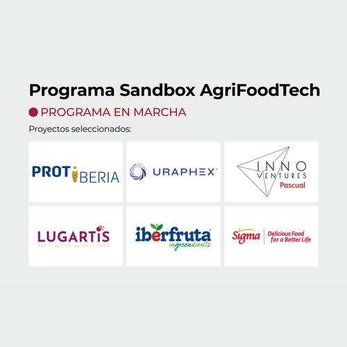 Seis proyectos con potencial de impacto en la sostenibilidad y la eficiencia industrial son seleccionados en la primera llamada del Sandbox AgriFoodtech