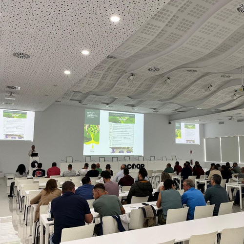 Dcoop celebra un curso de maestro molinero en almazaras en su continua apuesta por la calidad de las producciones de sus cooperativas