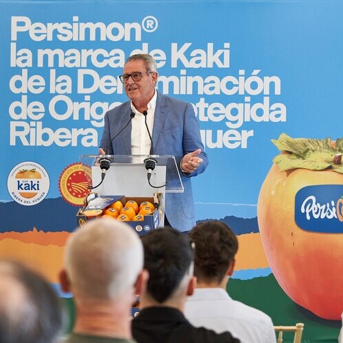 La DOP Kaki Ribera del Xúquer arranca su campaña de recogida con una previsión positiva y redobla su apuesta por la promoción internacional