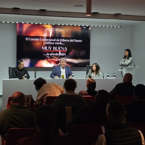 El Comité Excepcional de Ribera del Duero califica la añada 2024 como “Muy Buena”